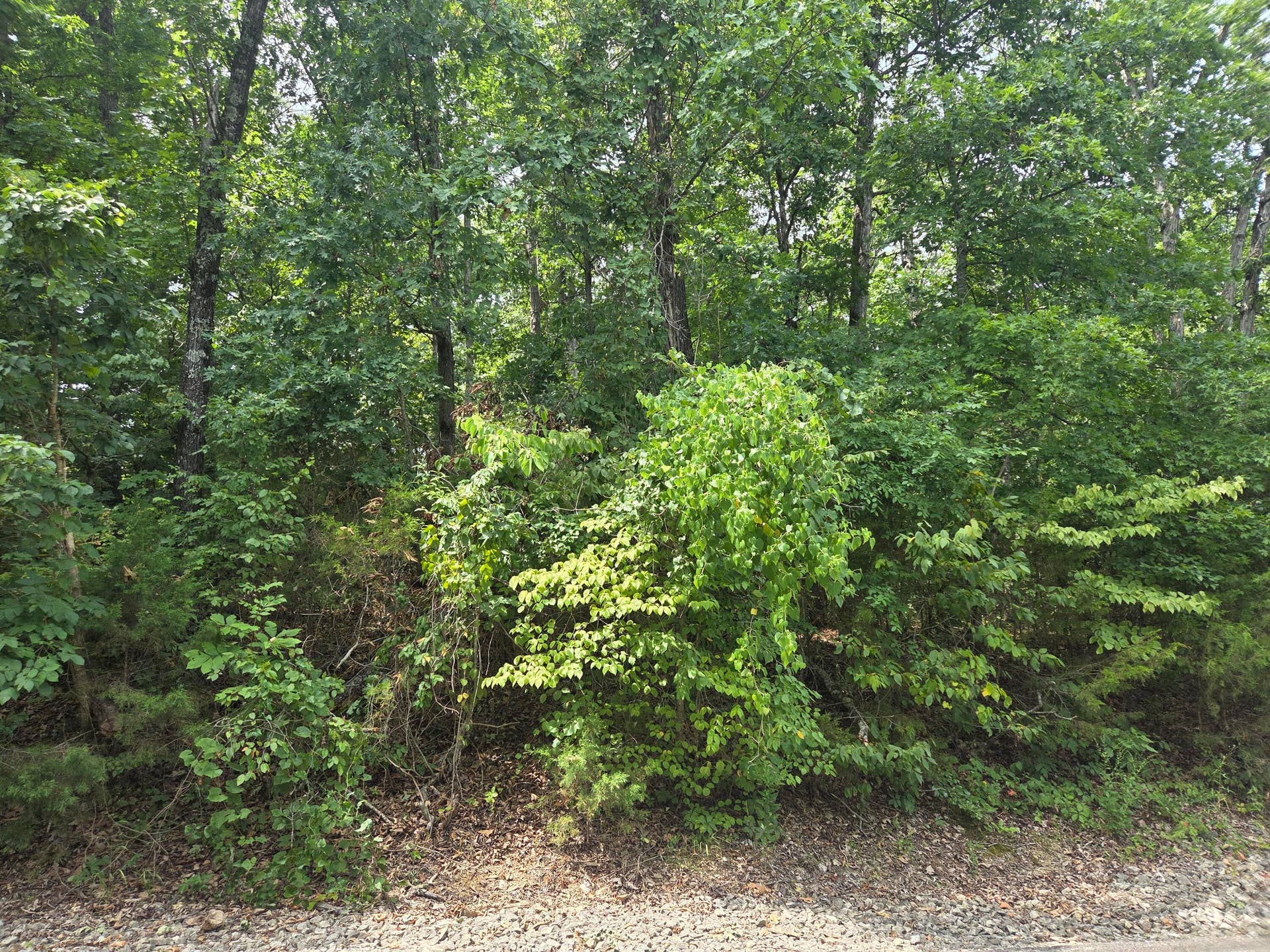 Lot 13 SilverCliff Way