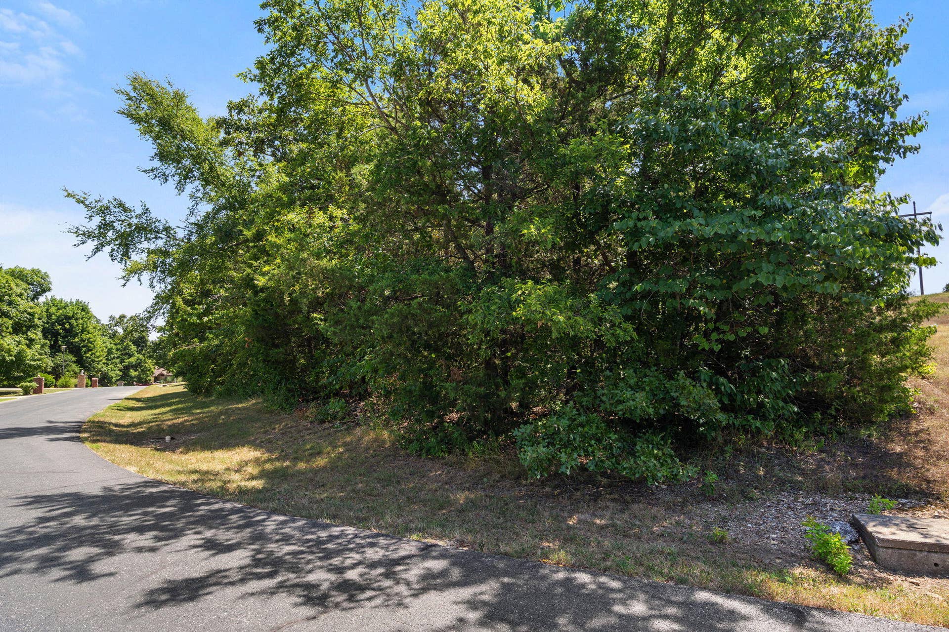 Lot-30-Crossing-Dr-Ozark-Build-Site