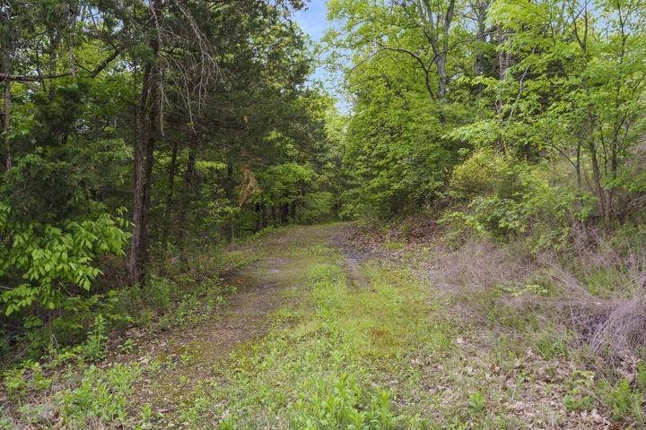 86 Rasso Way, #34, Kimberling City, MO 65686 20260504172756283482000000-o