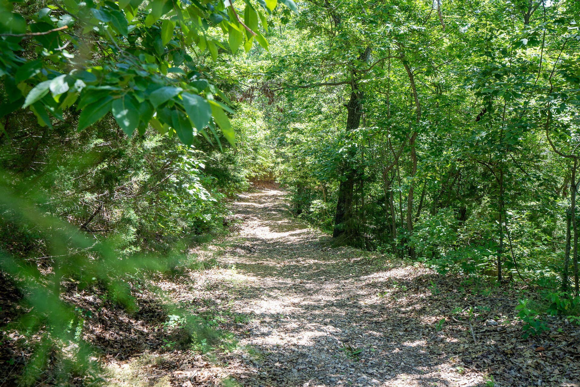 388 Notch Lane, #A, Reeds Spring, MO 65737 Nightly Rental Condo Table Rock Lake