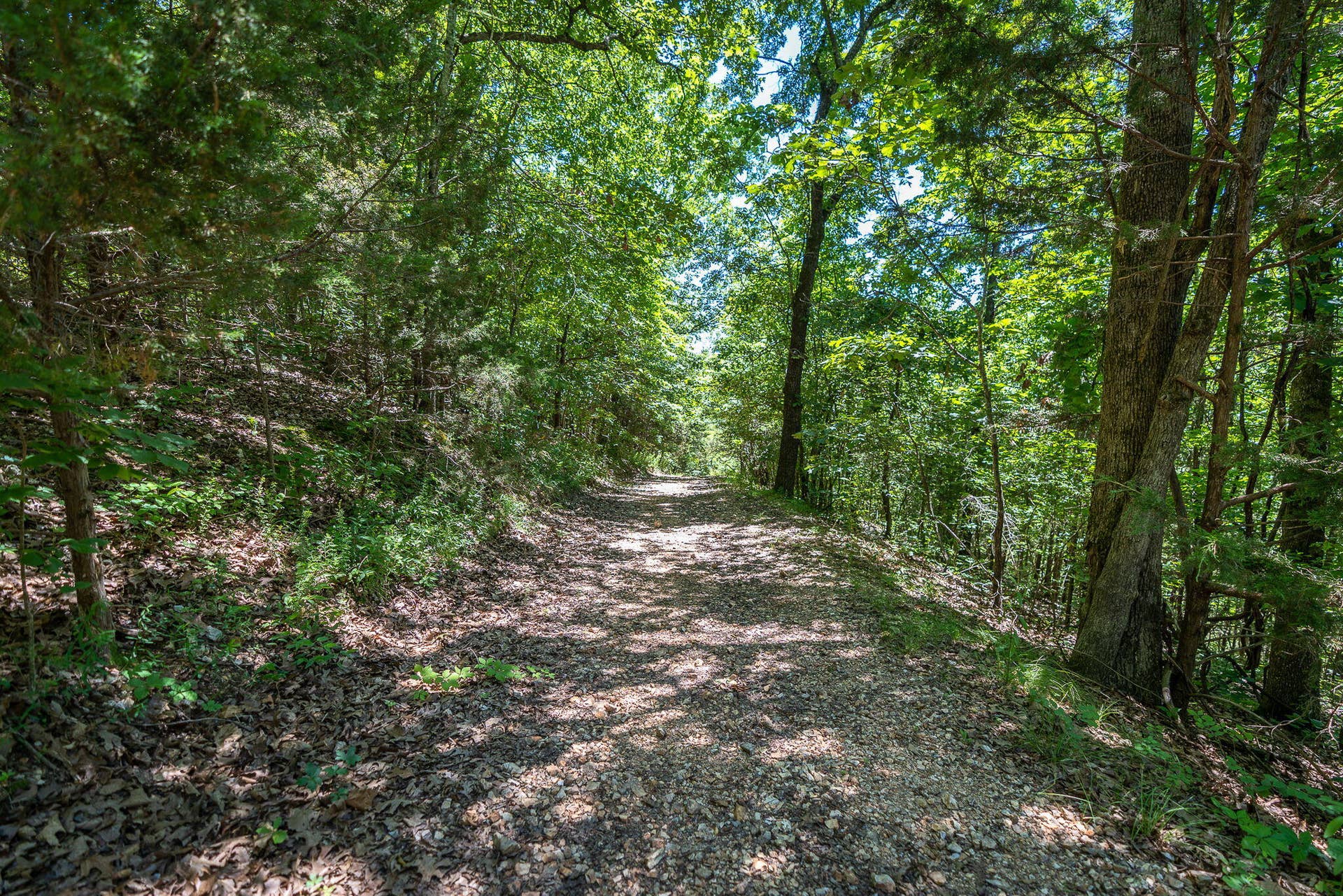 388 Notch Lane, #A, Reeds Spring, MO 65737 Nightly Rental Condo Table Rock Lake
