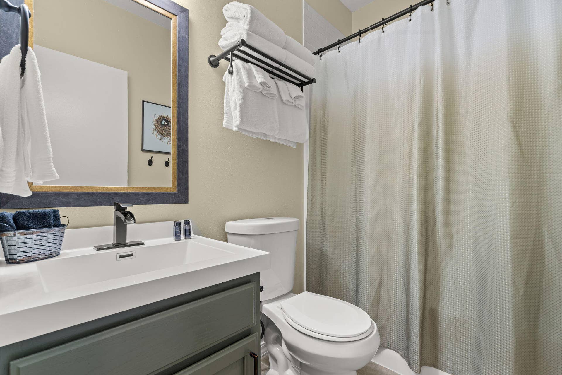 388 Notch Lane, #A, Reeds Spring, MO 65737 388-Notch-Ln-Modern-Bathroom