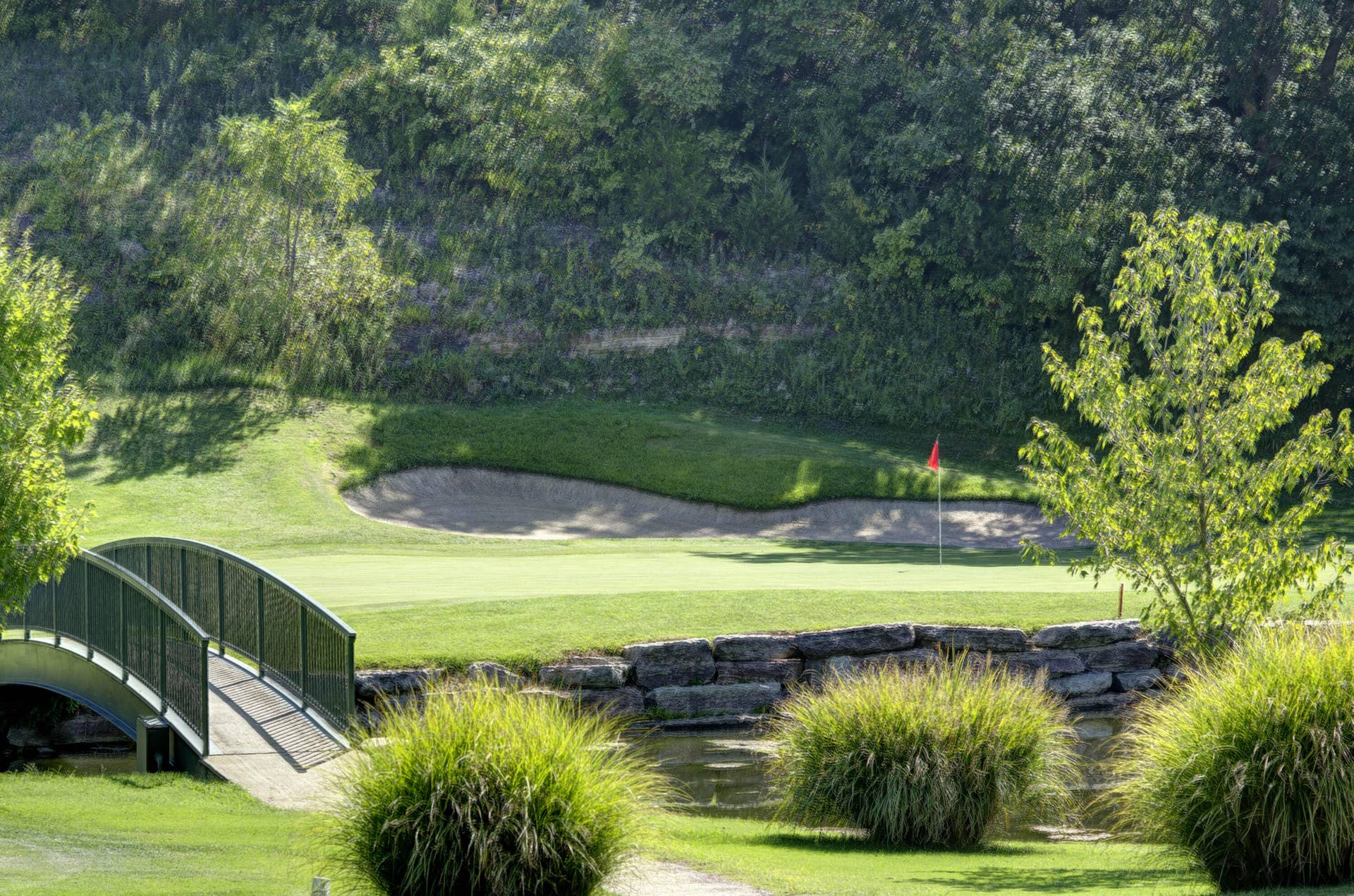 1316 Stoney Creek Lane, Branson West, MO 65737 Stonebridge (25)