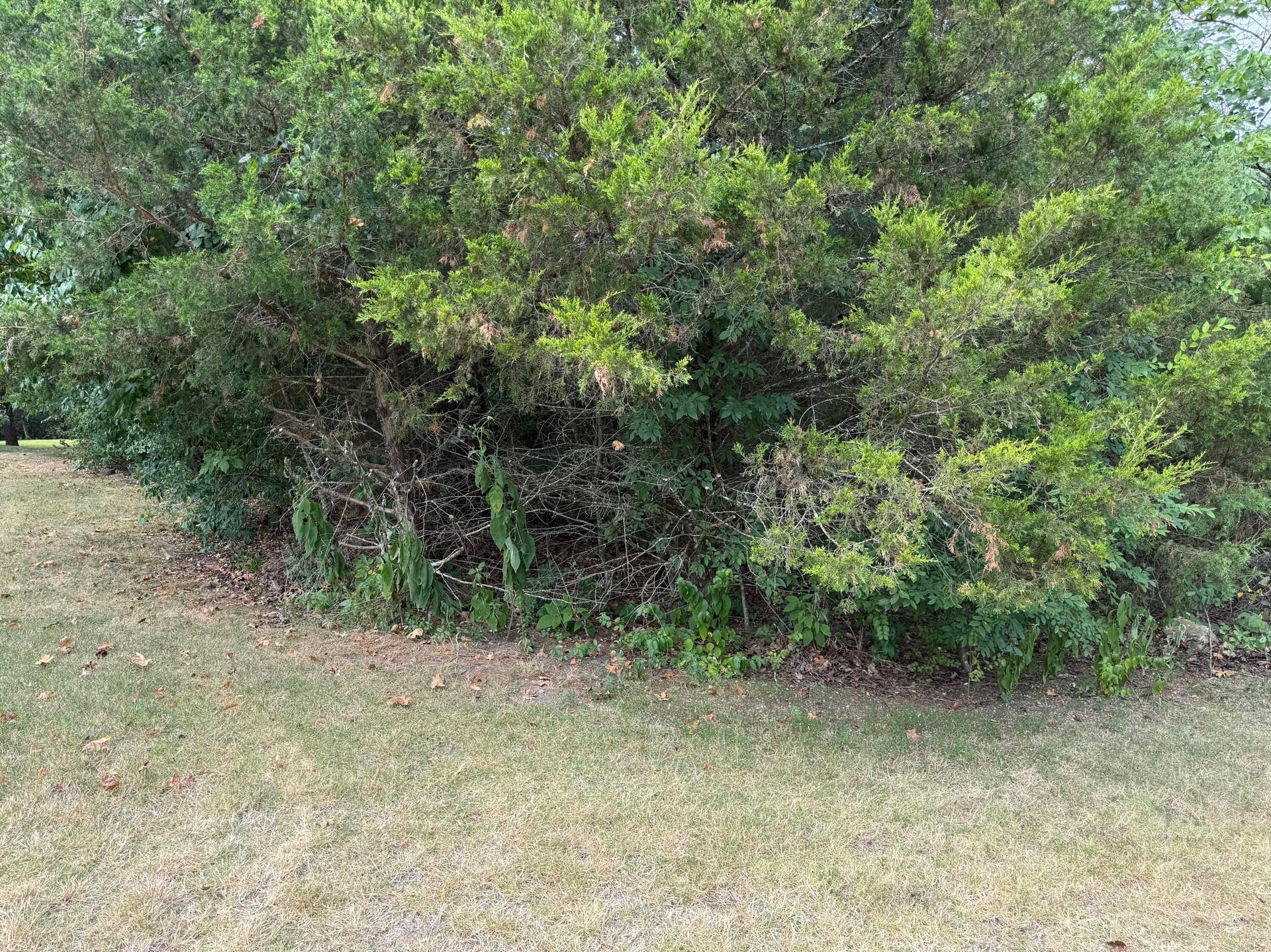 5 Silver Oak Way, Branson West, MO 65737 Photo Jul 28 2026, 11 29 43 AM
