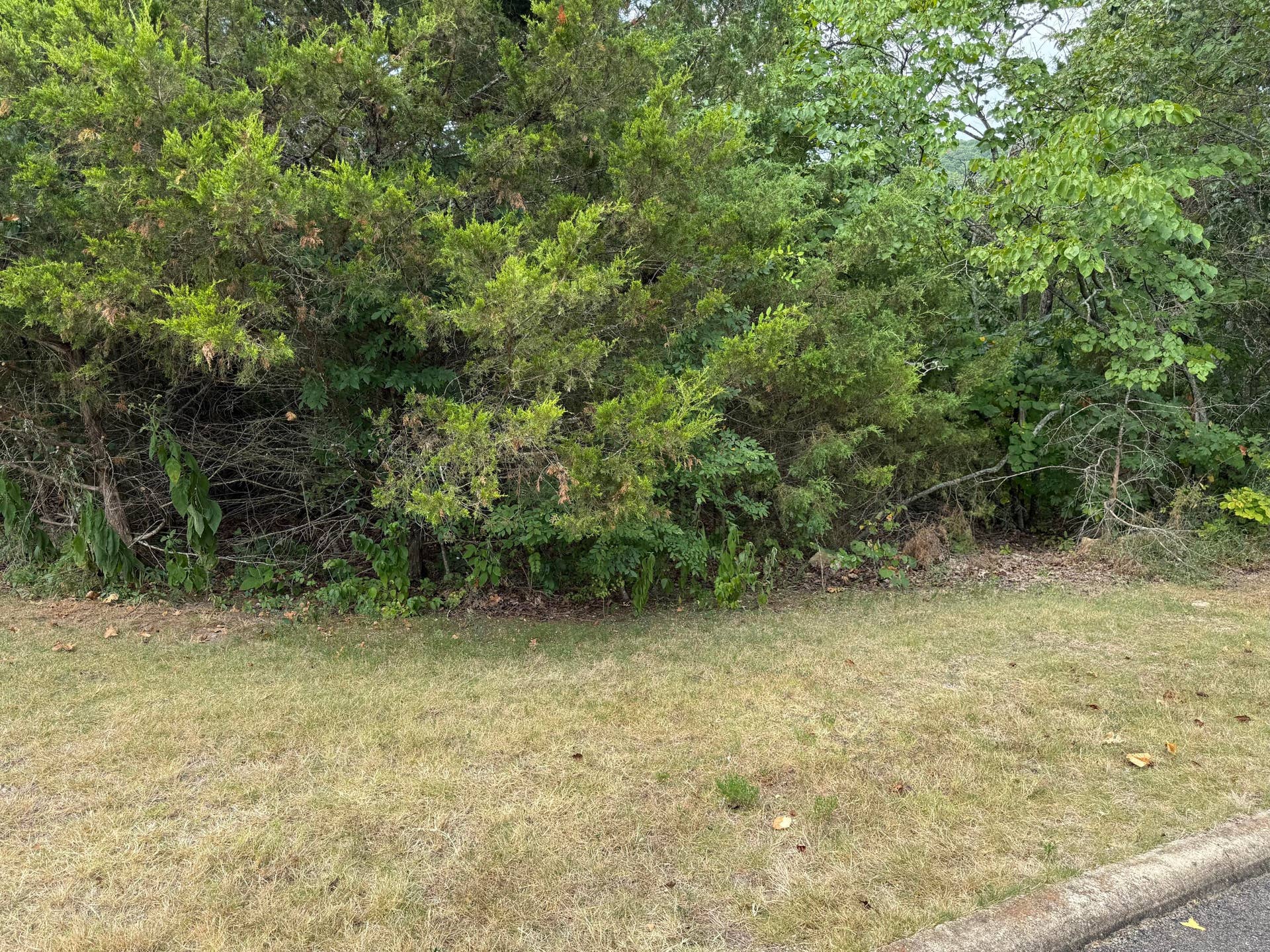 5 Silver Oak Way, Branson West, MO 65737 Photo Jul 28 2026, 11 29 53 AM
