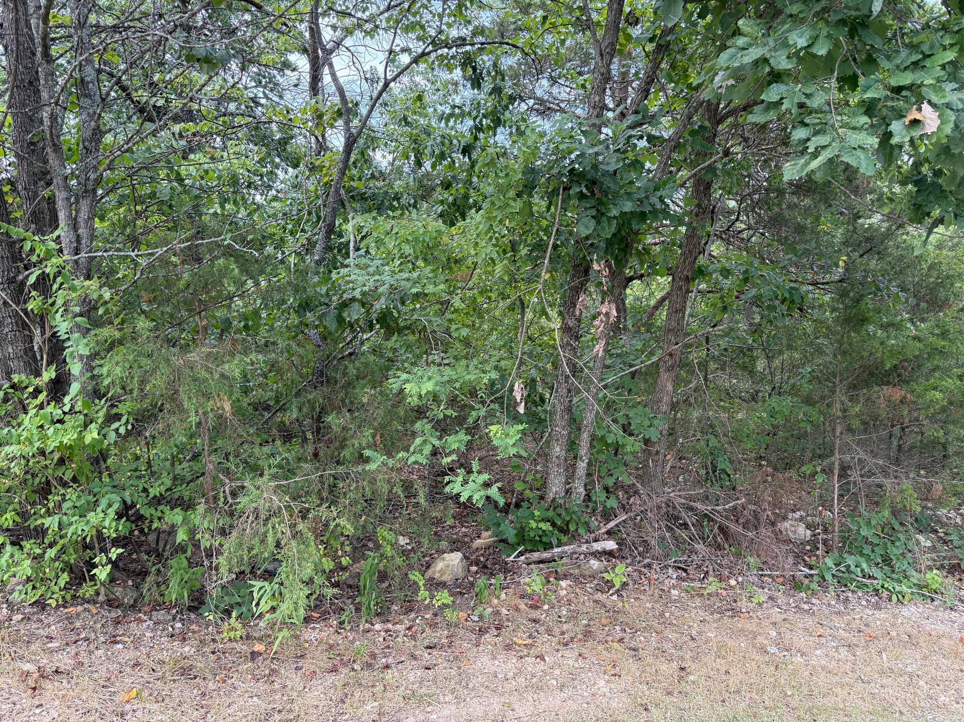 5 Silver Oak Way, Branson West, MO 65737 5 Silver Oak