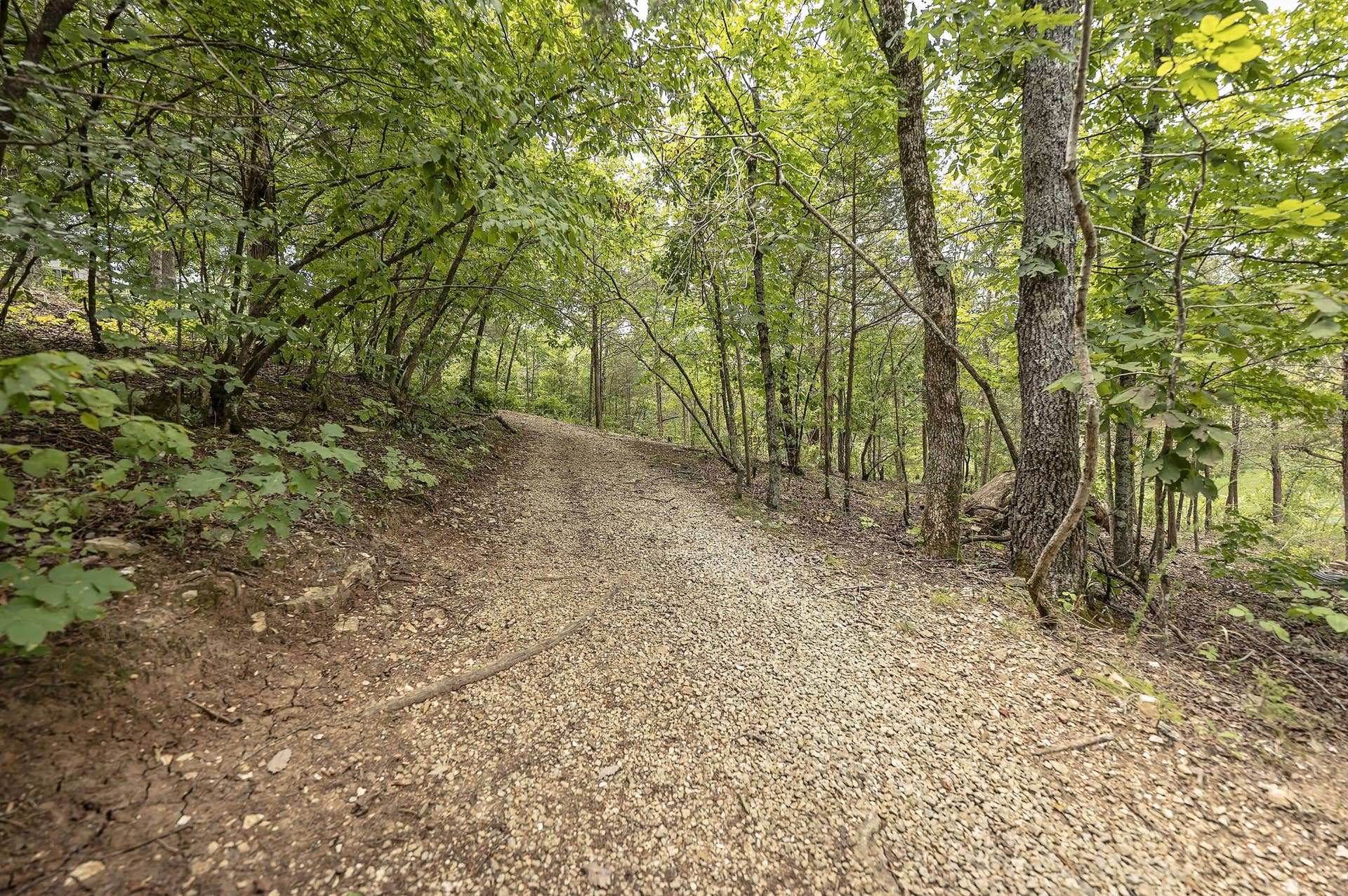 Branson West, MO 65737 2193 Stoneridge Center Rd (137)