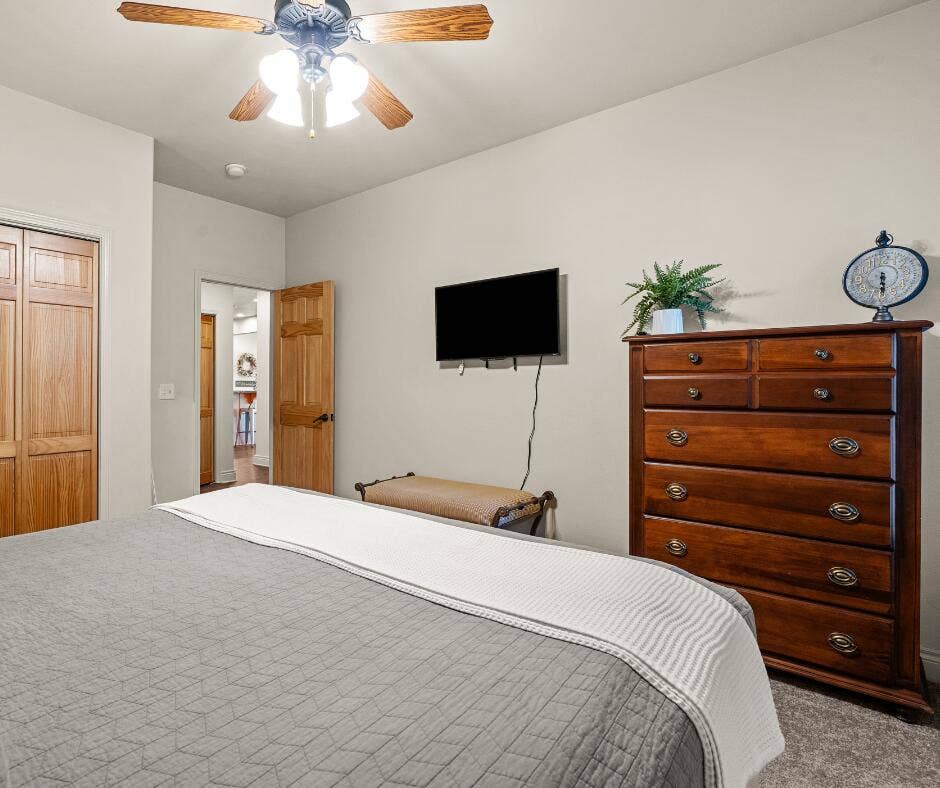 Basement Guest Bedroom
