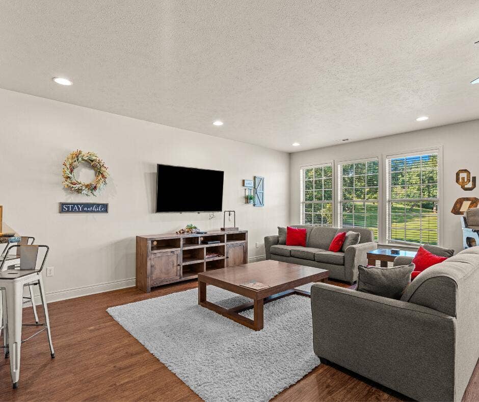 Basement Living Area
