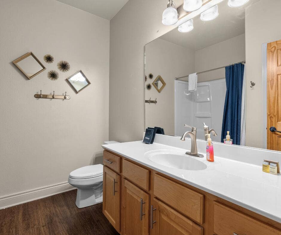 Basement Bathroom