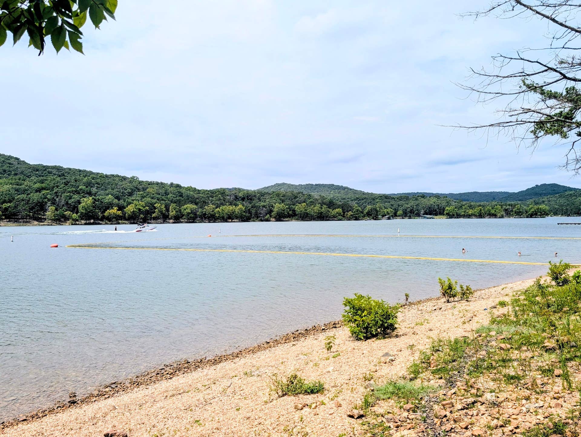 84 Kings Cove Lane, #16, Reeds Spring, MO 65737 Corps Swim area