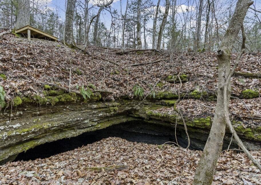 893-Hidden-Springs-Ln-Woodland-Paths