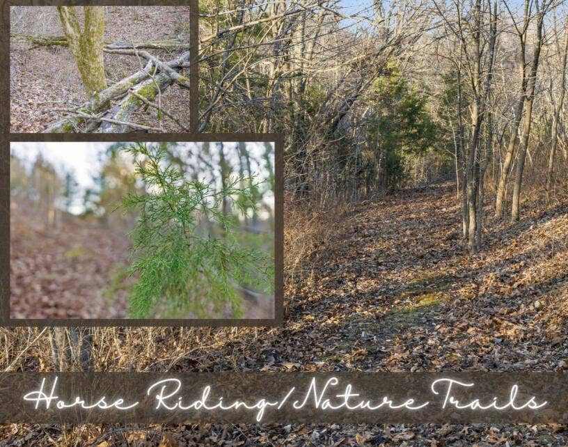893-Hidden-Springs-Ln-Scenic-Trails