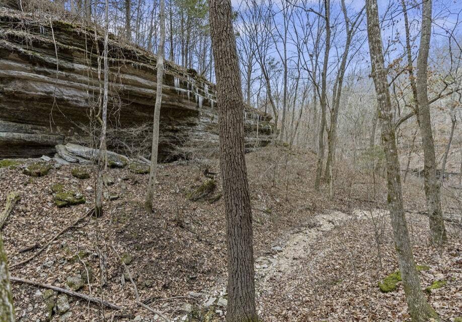893-Hidden-Springs-Ln-NAture-Paths