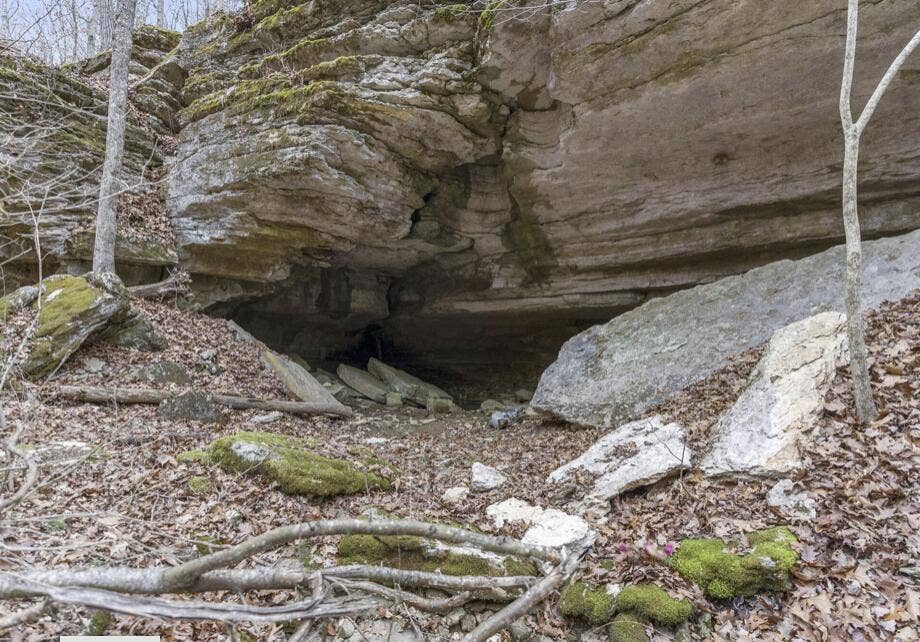 893-Hidden-Springs-Ln-Serene-Trails