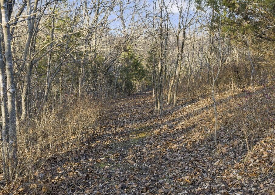 893-Hidden-Springs-Ln-Forest-Trails