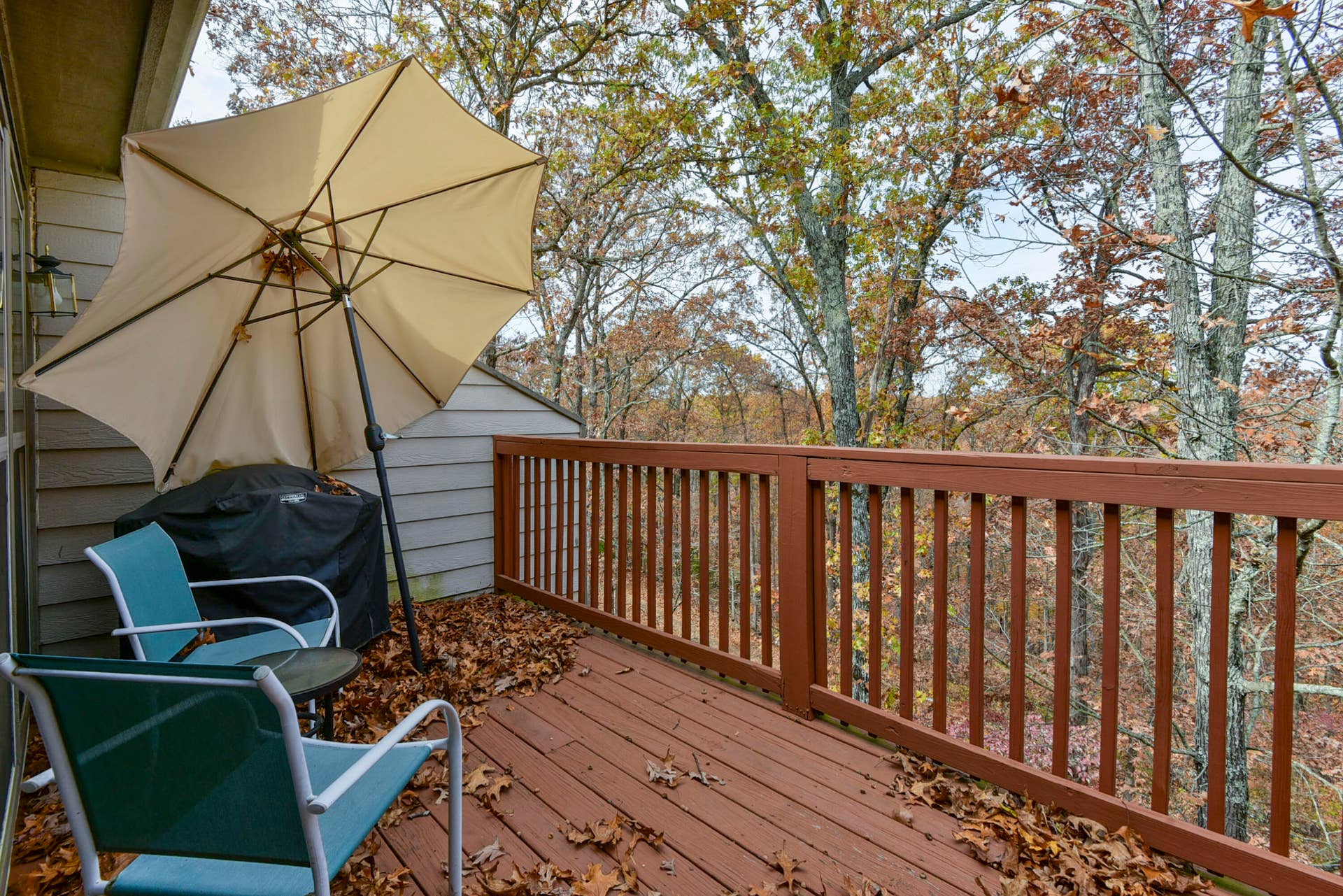 154 Oak Lane, #5, Branson West, MO 65737 View at back