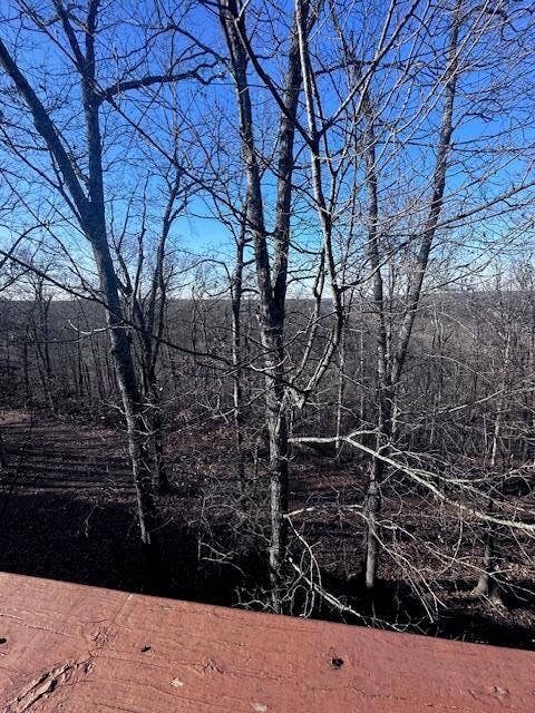 154 Oak Lane, #5, Branson West, MO 65737 IMG_2626