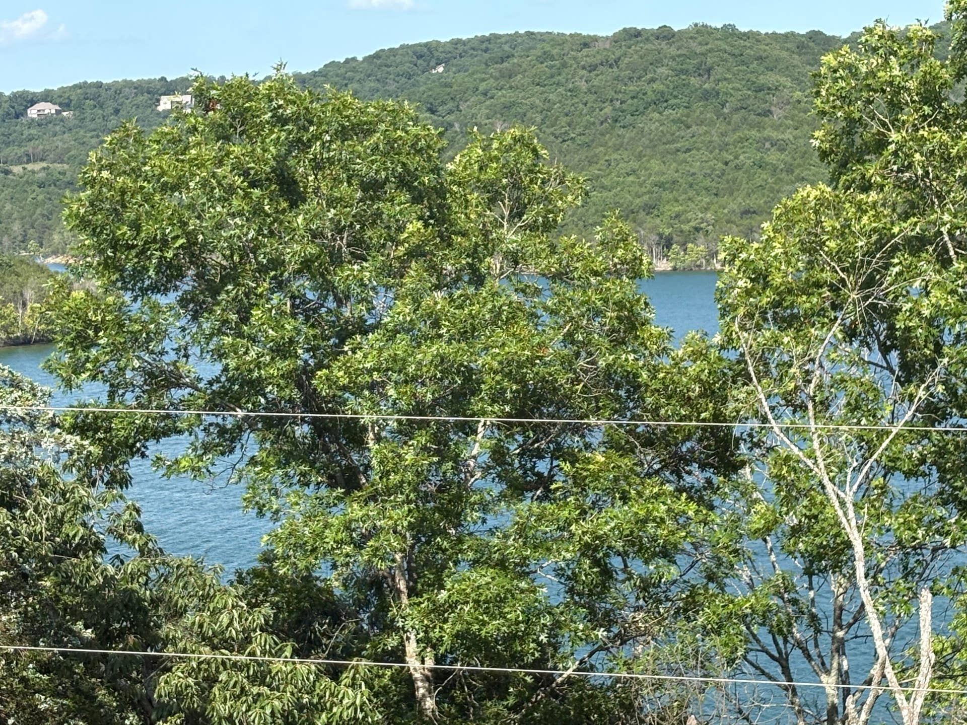 224 Scrolling Road, Branson West, MO 65737 IMG_1982