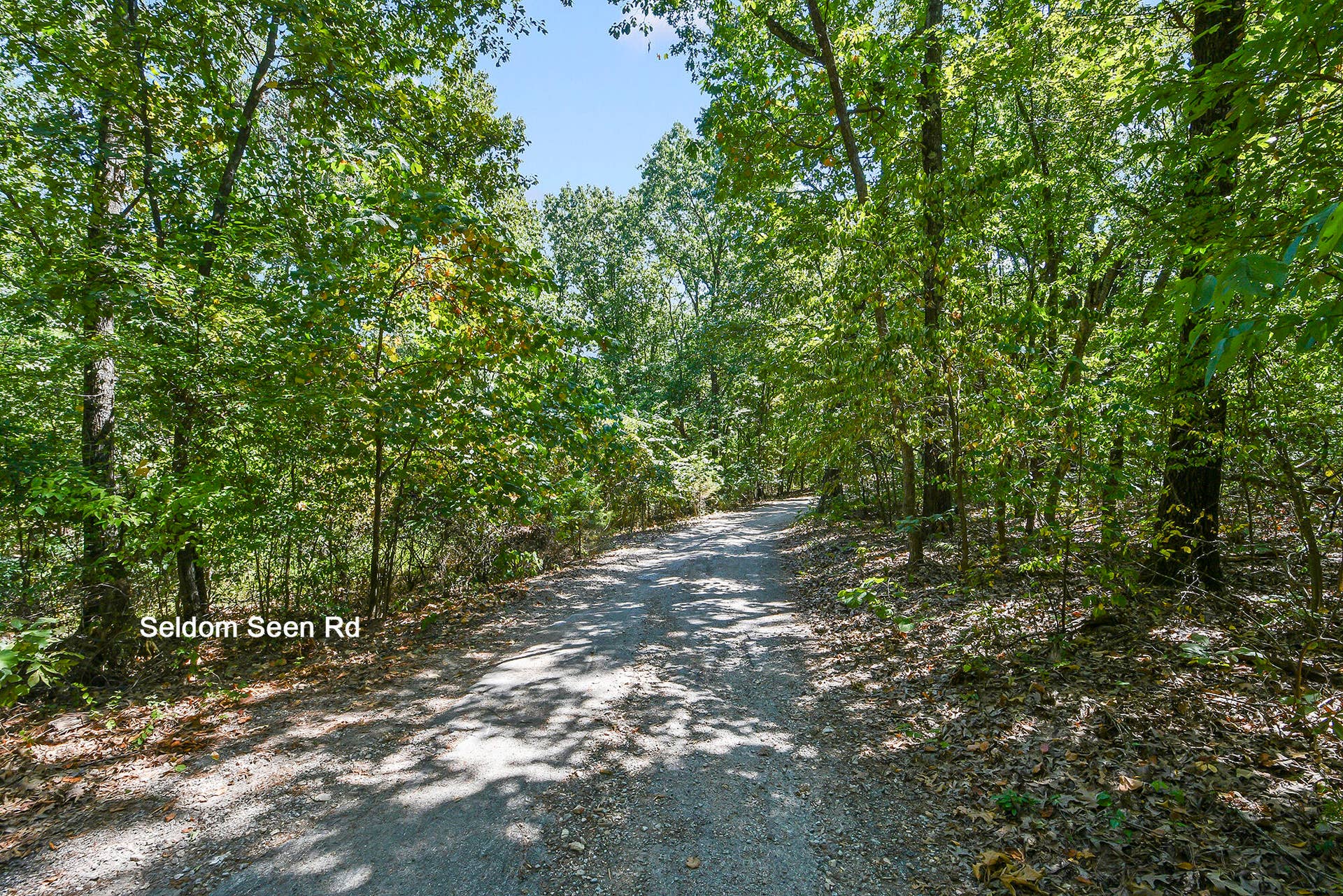62 Seldom Seen Lane, Branson West, MO 65737 SS 3