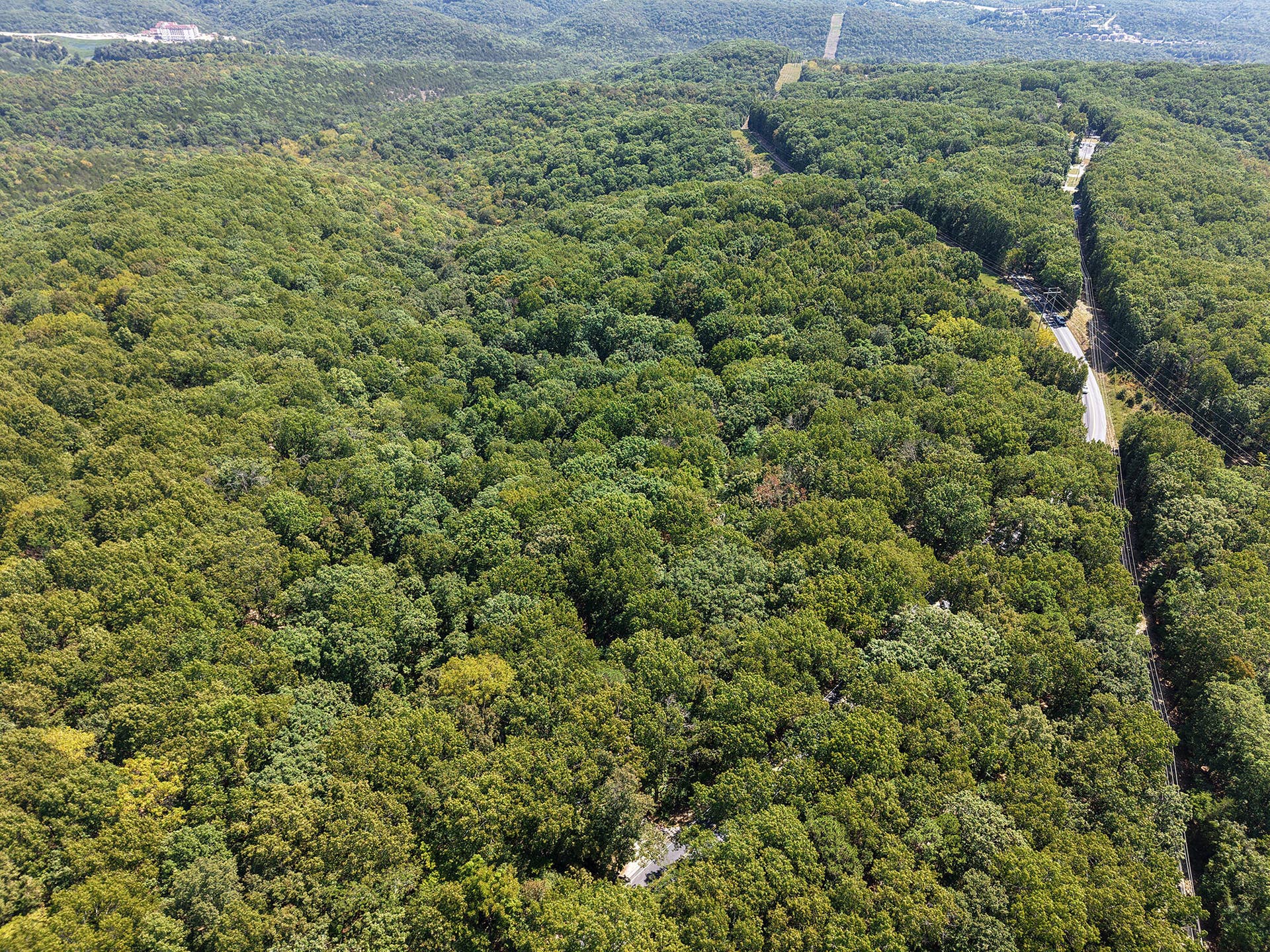 62 Seldom Seen Lane, Branson West, MO 65737 Drone 1