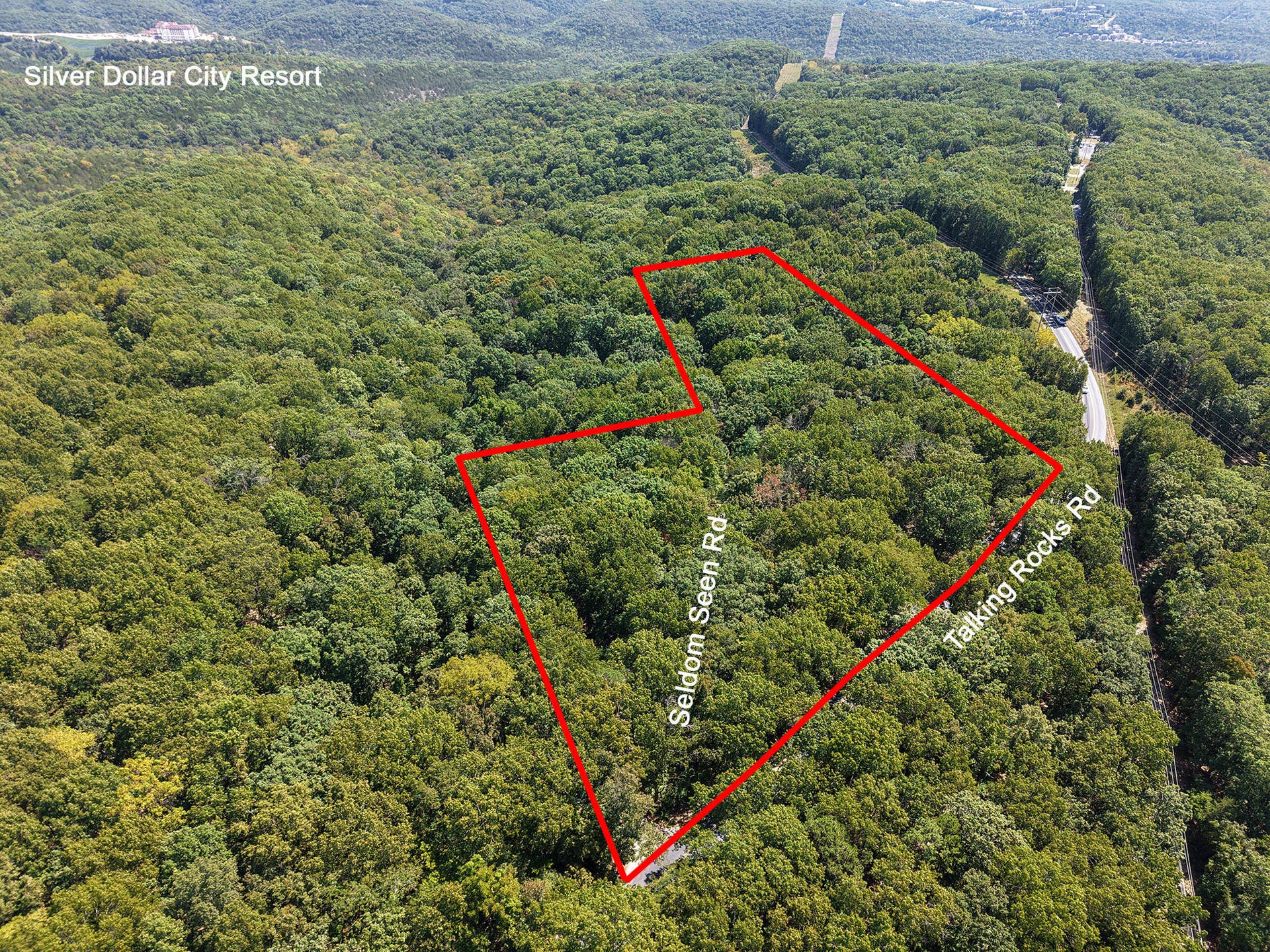 62 Seldom Seen Lane, Branson West, MO 65737 Primary