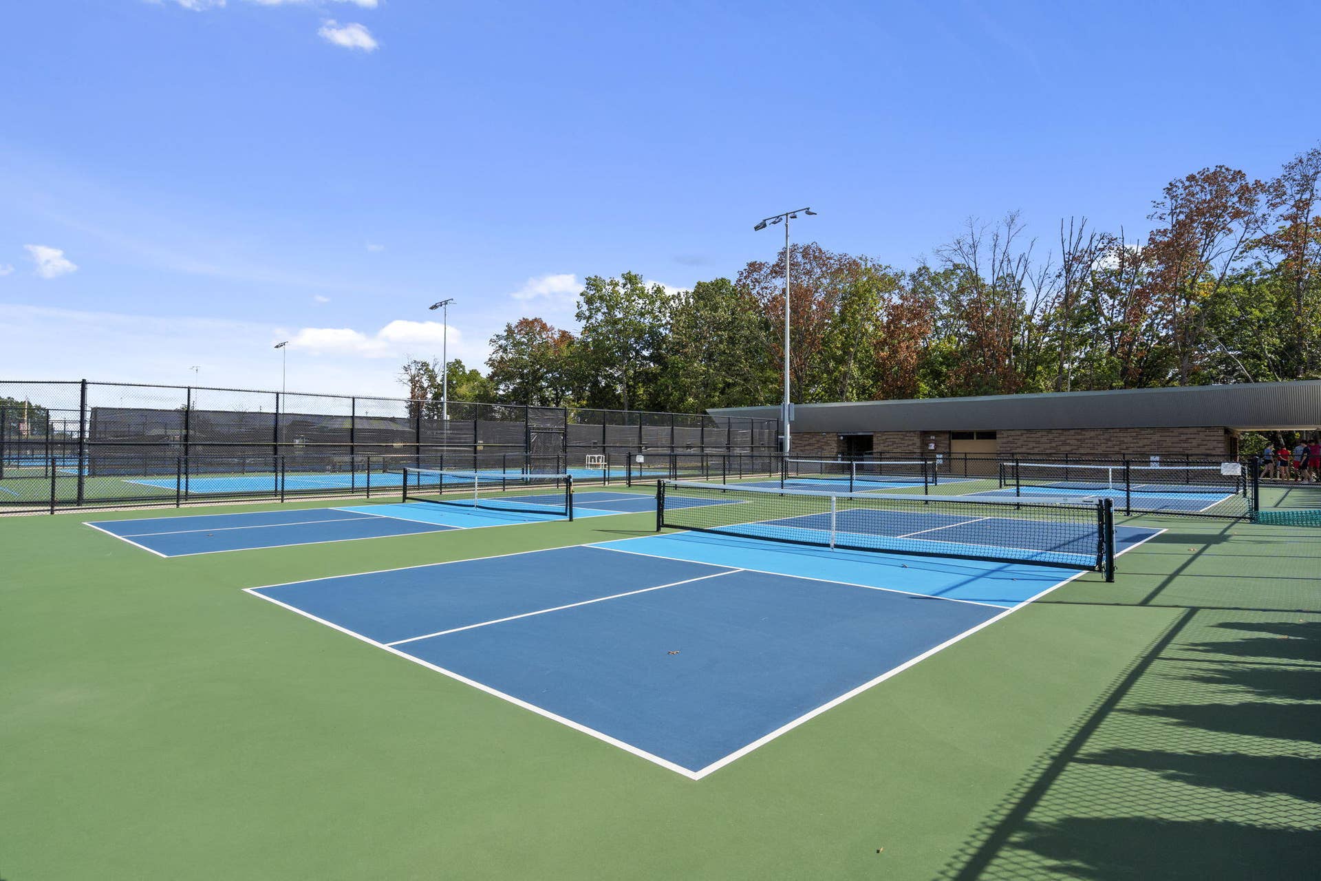 49 E Pine Lane, Reeds Spring, MO 65737 Wolf Pack Park!