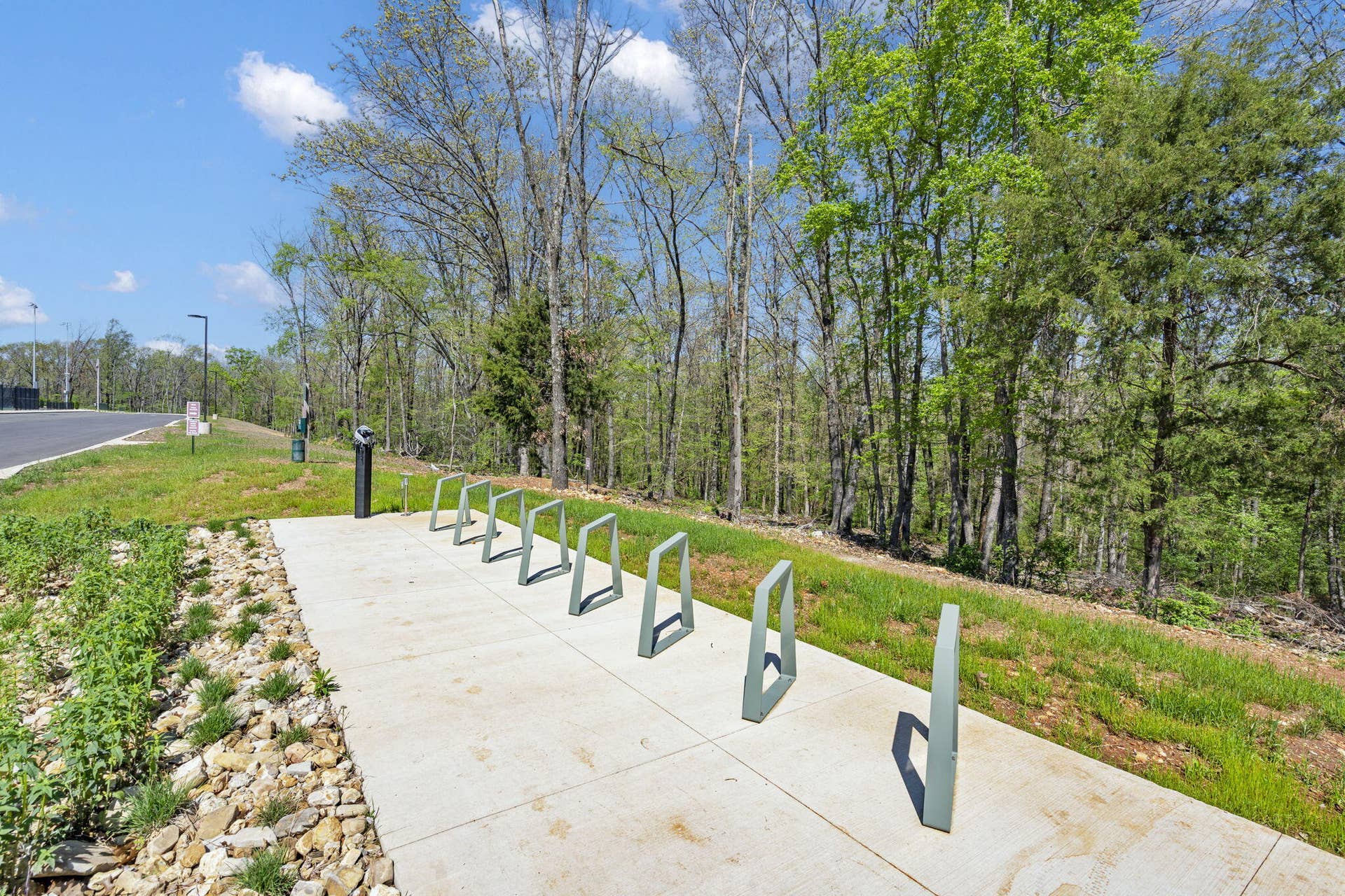 49 E Pine Lane, Reeds Spring, MO 65737 Wolf Pack Park!