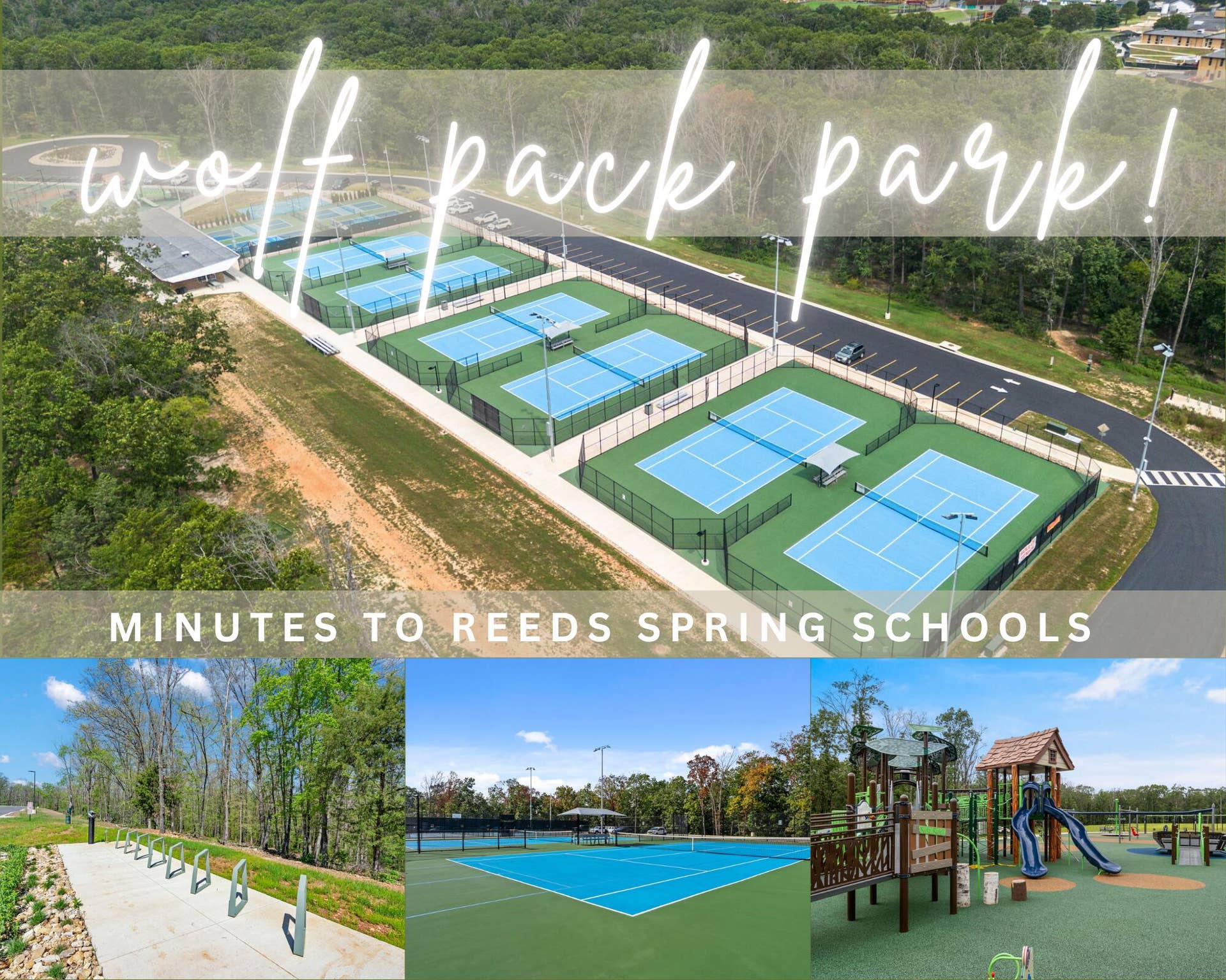 49 E Pine Lane, Reeds Spring, MO 65737 Wolfe Pack-2