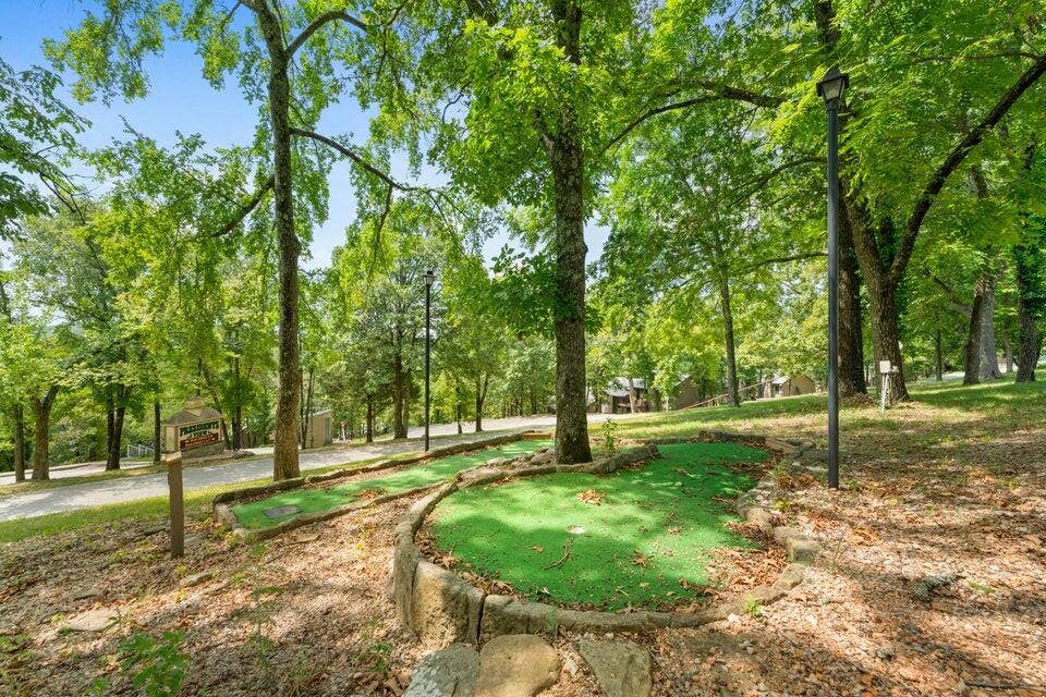 395 Ozark Mountain Resort Drive, #Cabin 60, Kimberling City, MO 65686 Mini golf 2