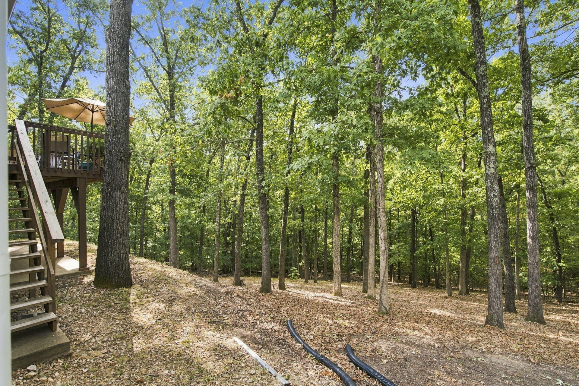 236 Silverbridge Lane, Kimberling City, MO 65686 33-web-or-mls-DSC06140