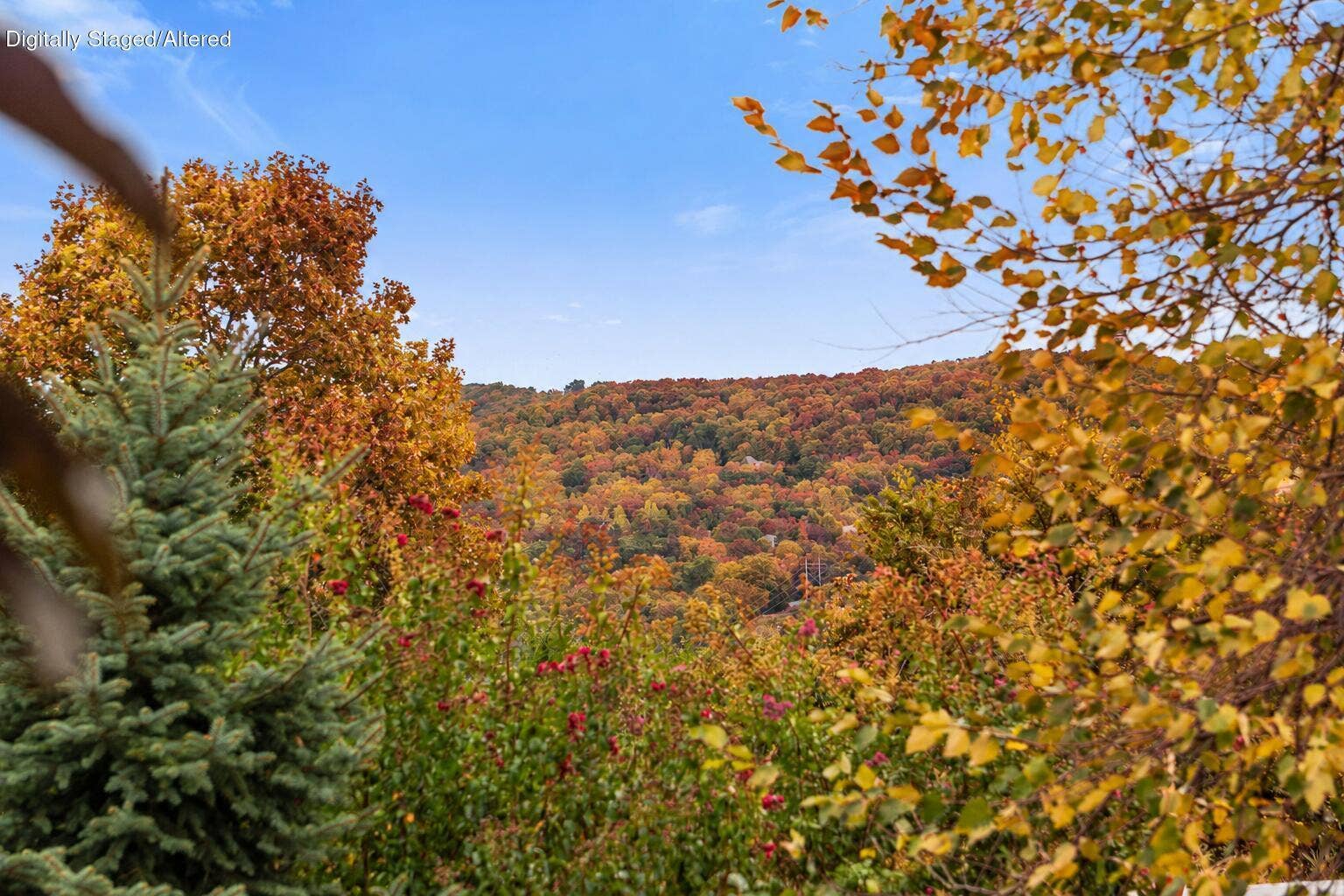 56 Mountain View Court, Branson West, MO 65737 Ozarks Home Framed by Autumn Foliage-9