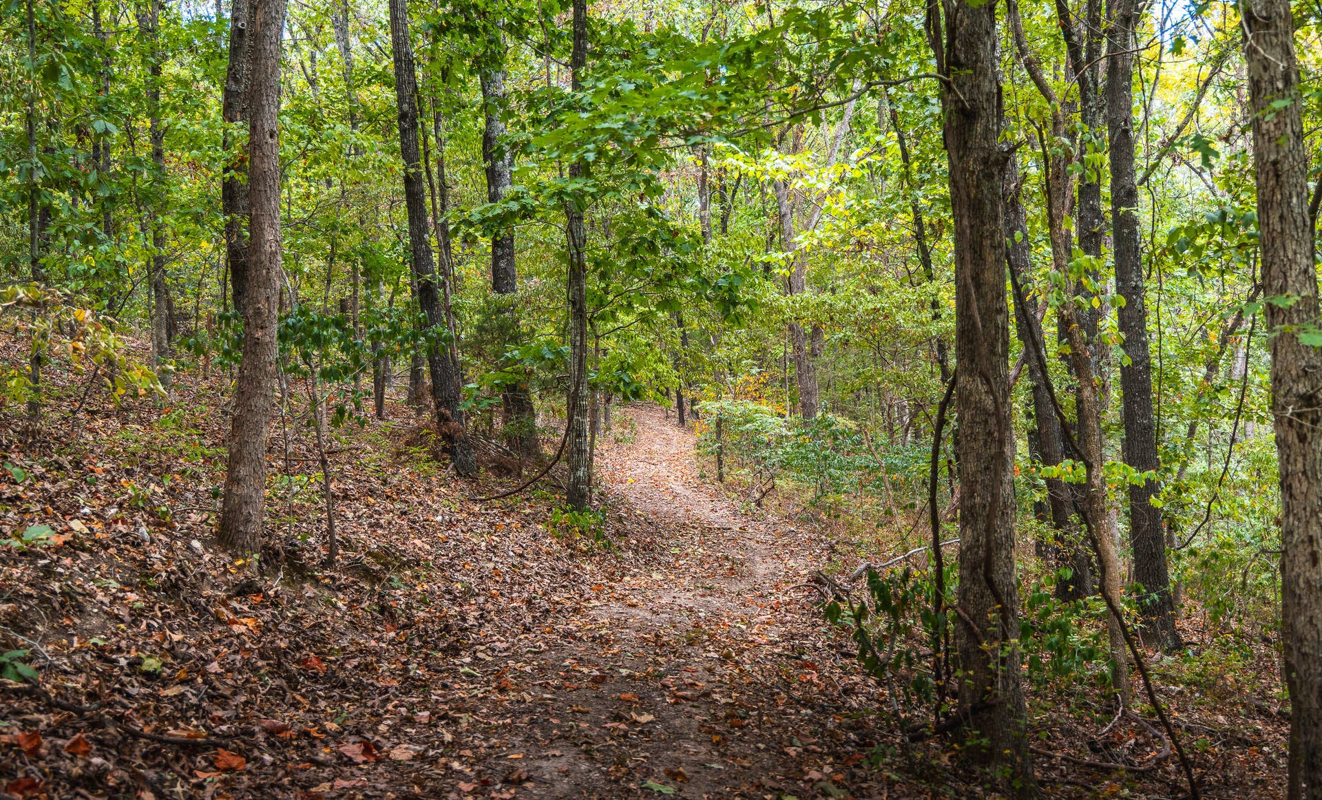1190 Us Highway 160, Reeds Spring, MO 65737 7U8A3611