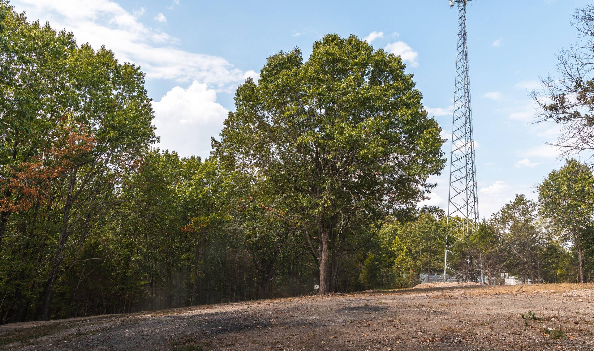 1190 Us Highway 160, Reeds Spring, MO 65737 7U8A3597