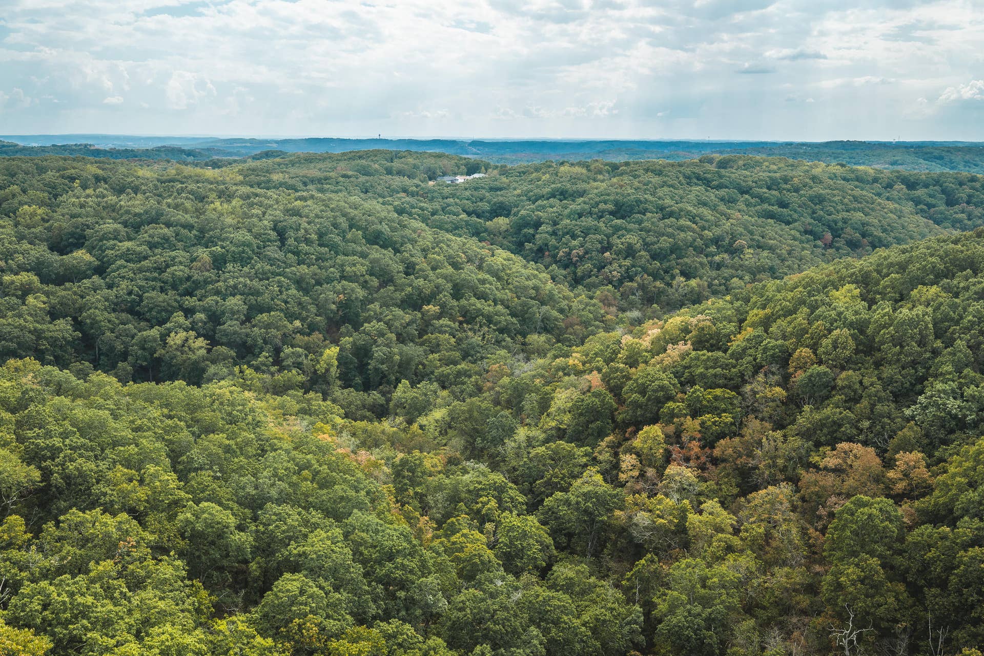 1190 Us Highway 160, Reeds Spring, MO 65737 DJI_20260916144020_0151_D