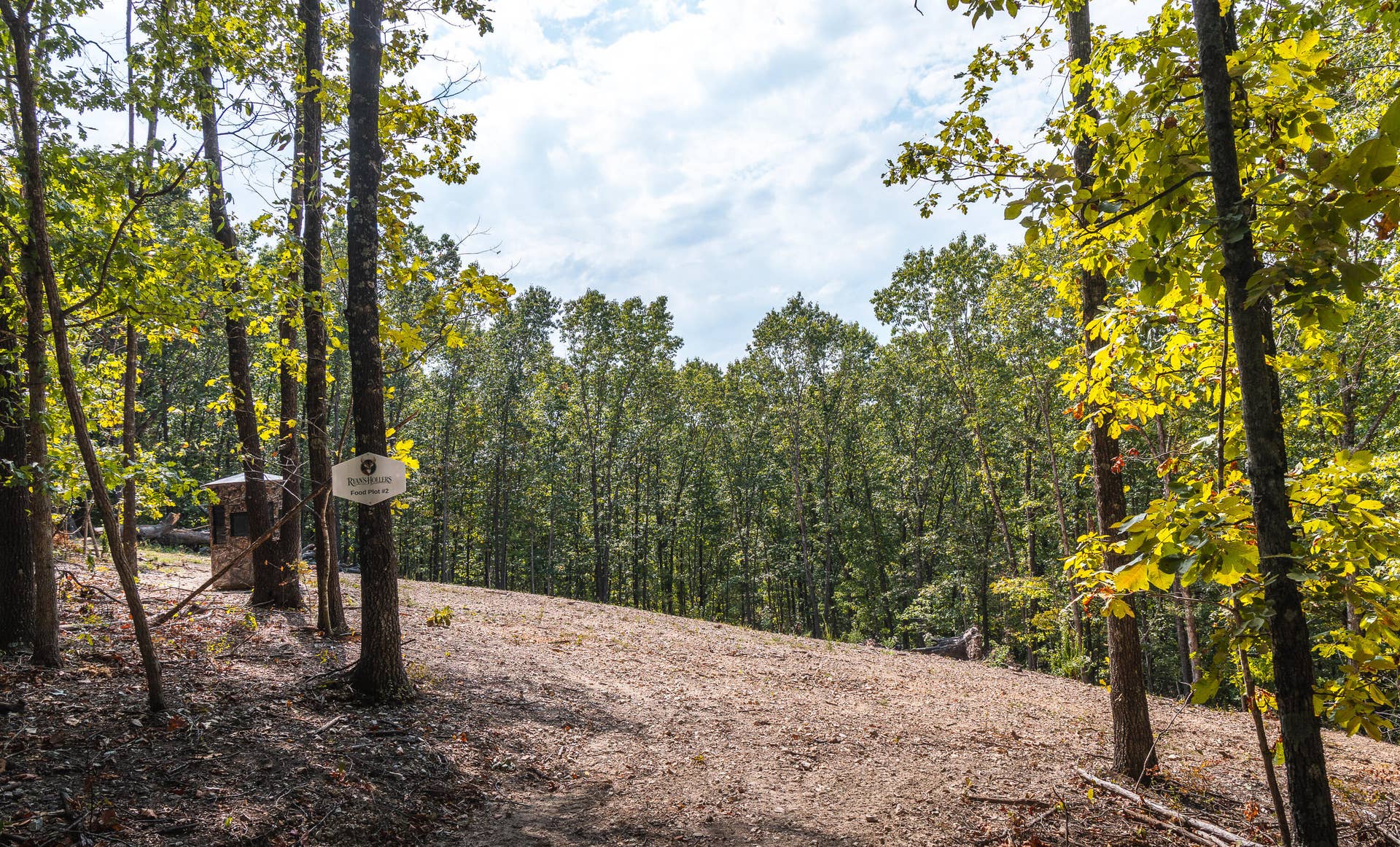 1190 Us Highway 160, Reeds Spring, MO 65737 7U8A3600