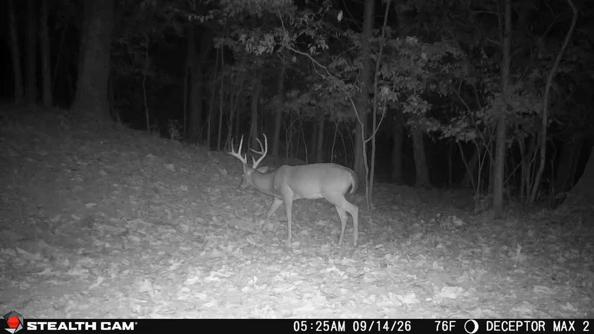 1190 Us Highway 160, Reeds Spring, MO 65737 1000050055