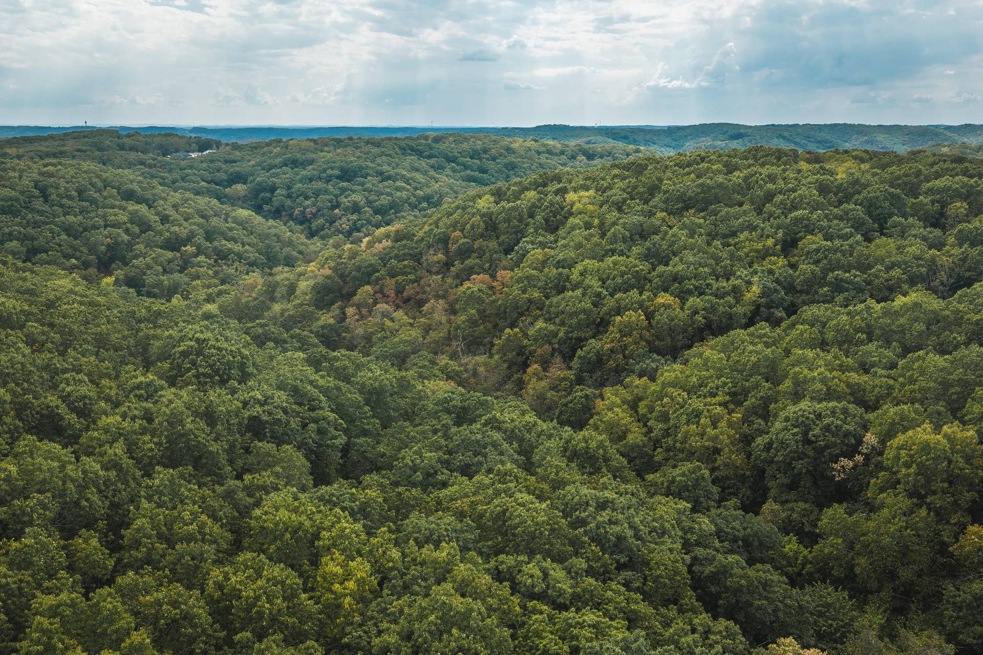 1190 Us Highway 160, Reeds Spring, MO 65737 DJI_20260916144144_0155_D