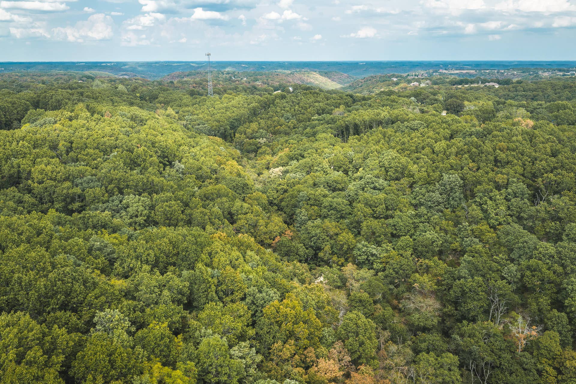 1190 Us Highway 160, Reeds Spring, MO 65737 DJI_20260916144242_0159_D