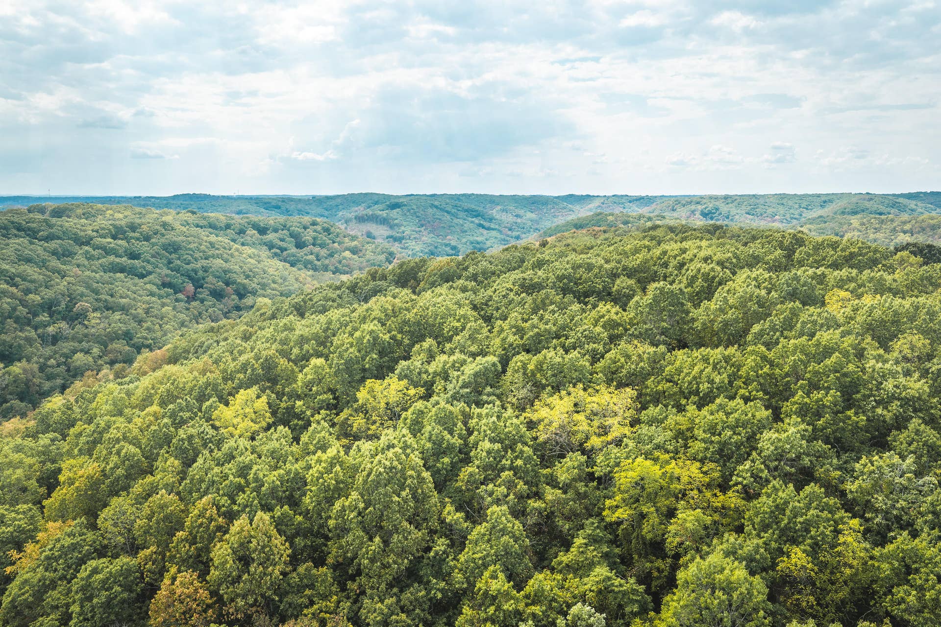 1190 Us Highway 160, Reeds Spring, MO 65737 DJI_20260916144212_0157_D