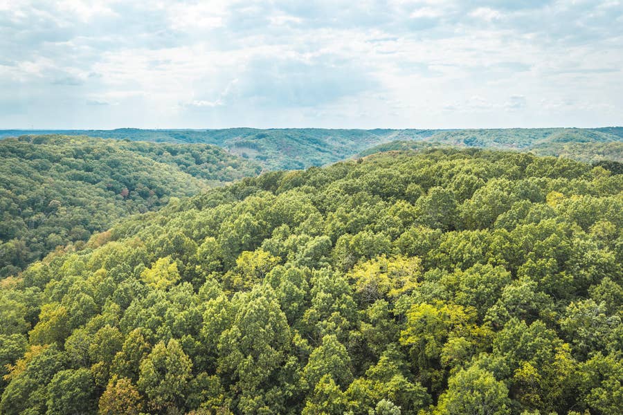 Property photo for 1190 Us Highway 160, Reeds Spring, MO
