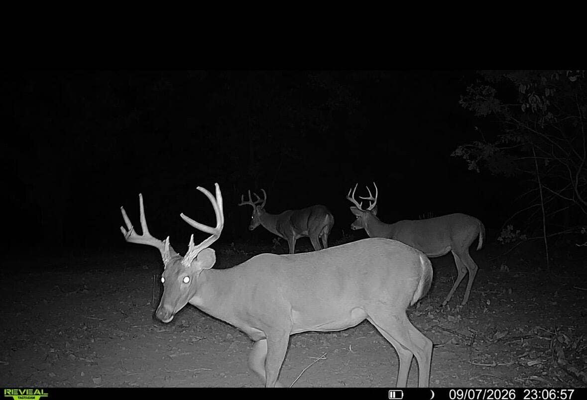1190 Us Highway 160, Reeds Spring, MO 65737 1000050061