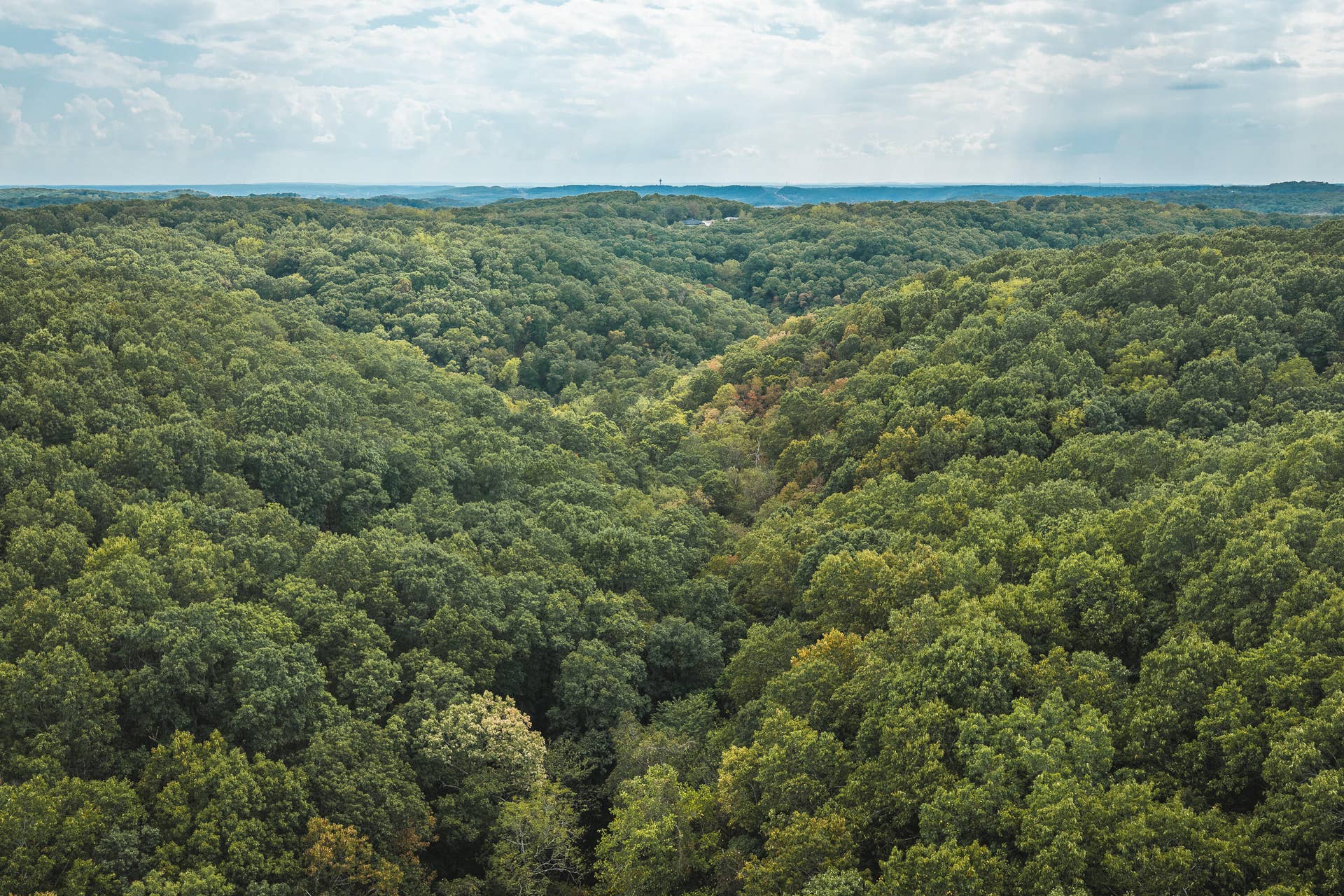 1190 Us Highway 160, Reeds Spring, MO 65737 DJI_20260916144000_0149_D
