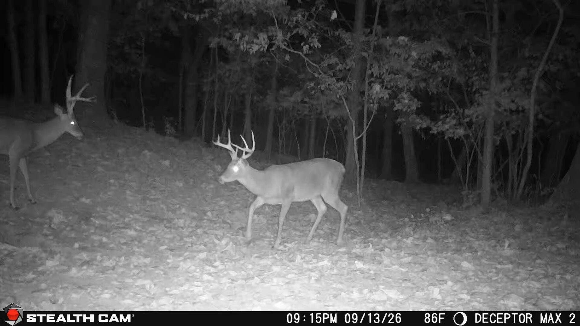 1190 Us Highway 160, Reeds Spring, MO 65737 1000050056