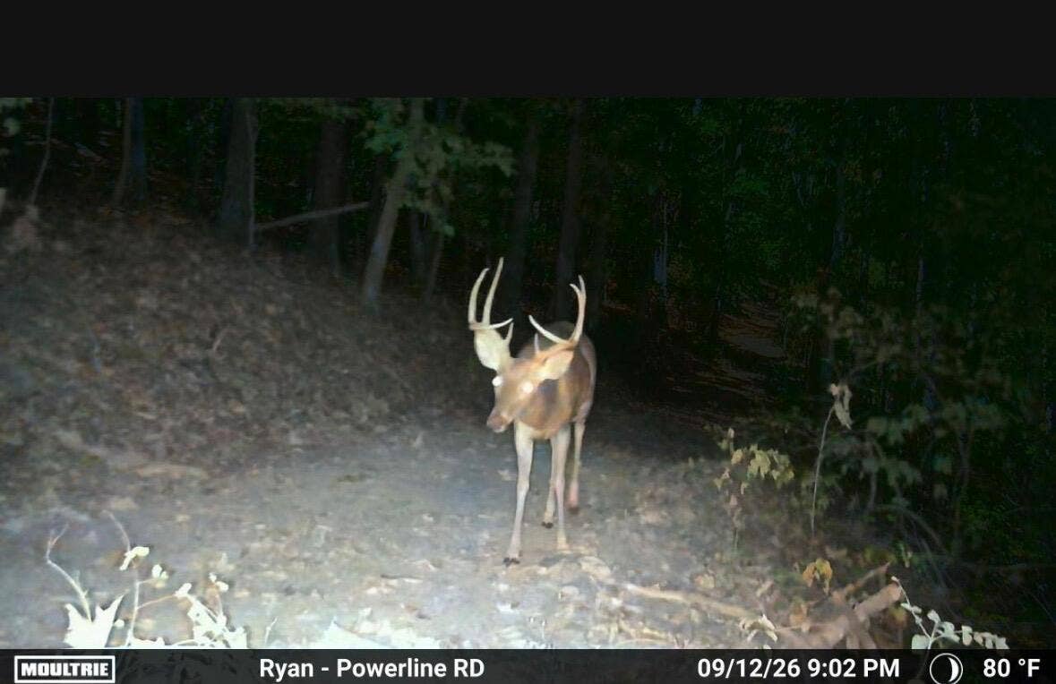 1190 Us Highway 160, Reeds Spring, MO 65737 1000050060
