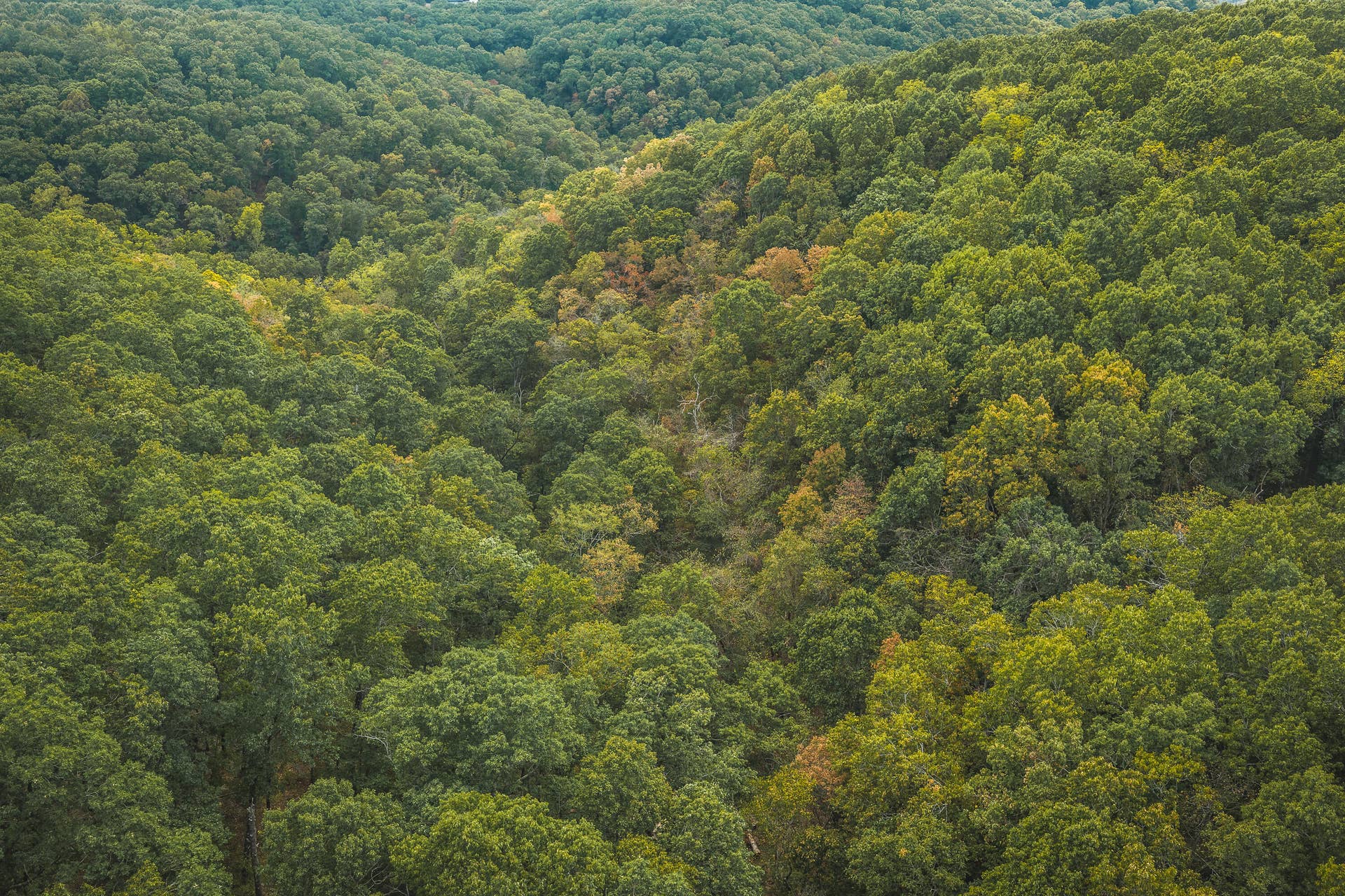1190 Us Highway 160, Reeds Spring, MO 65737 DJI_20260916144155_0156_D
