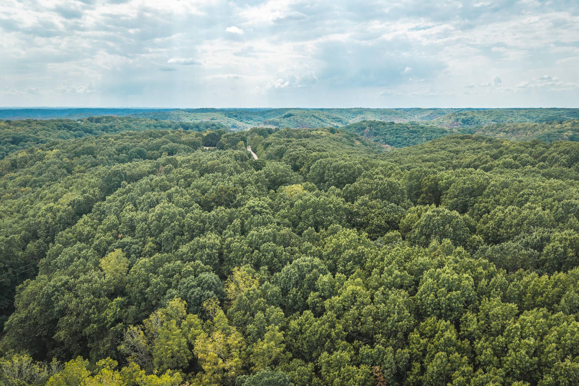 1190 Us Highway 160, Reeds Spring, MO 65737 DJI_20260916143907_0146_D