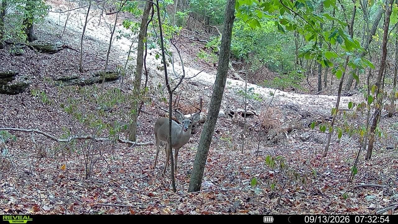 1190 Us Highway 160, Reeds Spring, MO 65737 1000050057