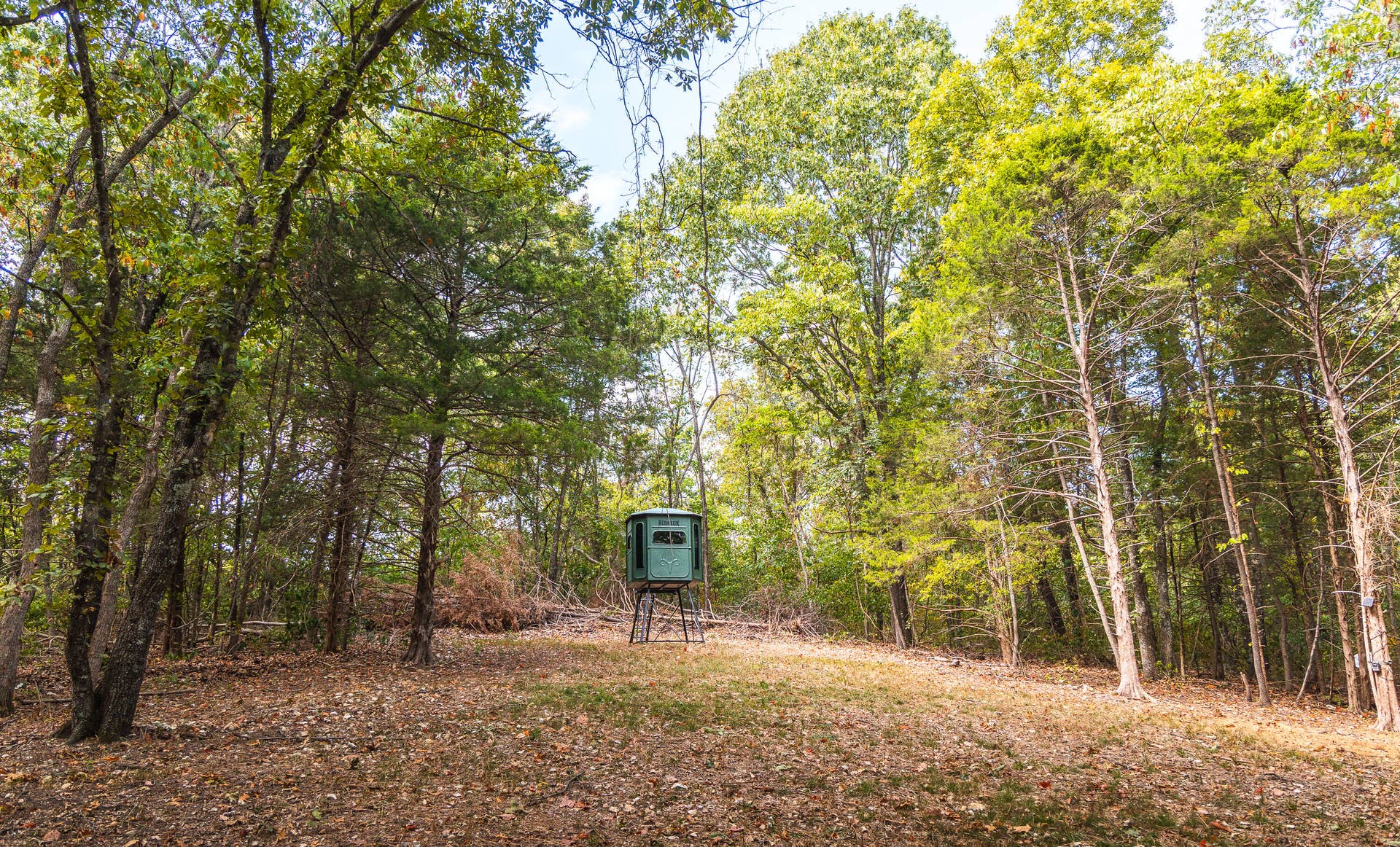 1190 Us Highway 160, Reeds Spring, MO 65737 7U8A3604