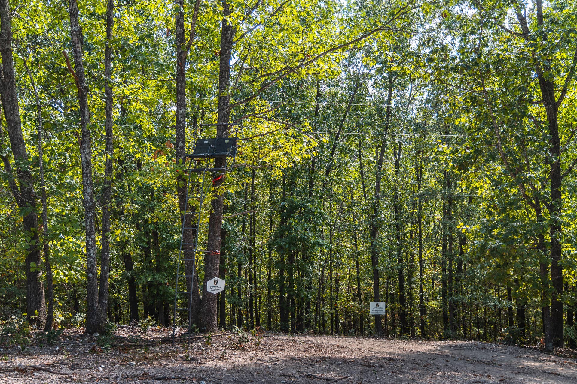 1190 Us Highway 160, Reeds Spring, MO 65737 7U8A3598